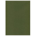 Effalin "grain toilé" vert (70x100)