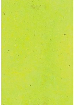 Papier lokta vert wasabi (49x69)