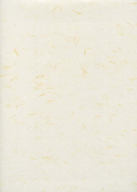 Papier Japonais Fibre Or Fond Blanc Casse 54x80