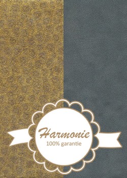 HARMONIE DUO Rondanlo or fond gris anthracite