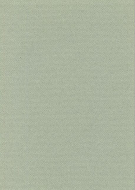 Papier uni A4 'Canson - Mi-Teintes' Gris chiné N°431 - La Fourmi