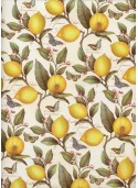 Les citrons sur fond d'écritures et papillons (50x68)