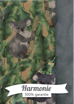 HARMONIE DUO les koalas fond vert et beige
